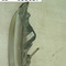 фара противотуманная Skoda Octavia 2005-2008